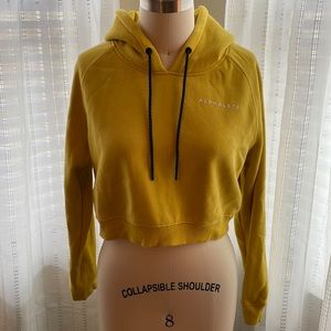 Cropped Alphalete Hoodie